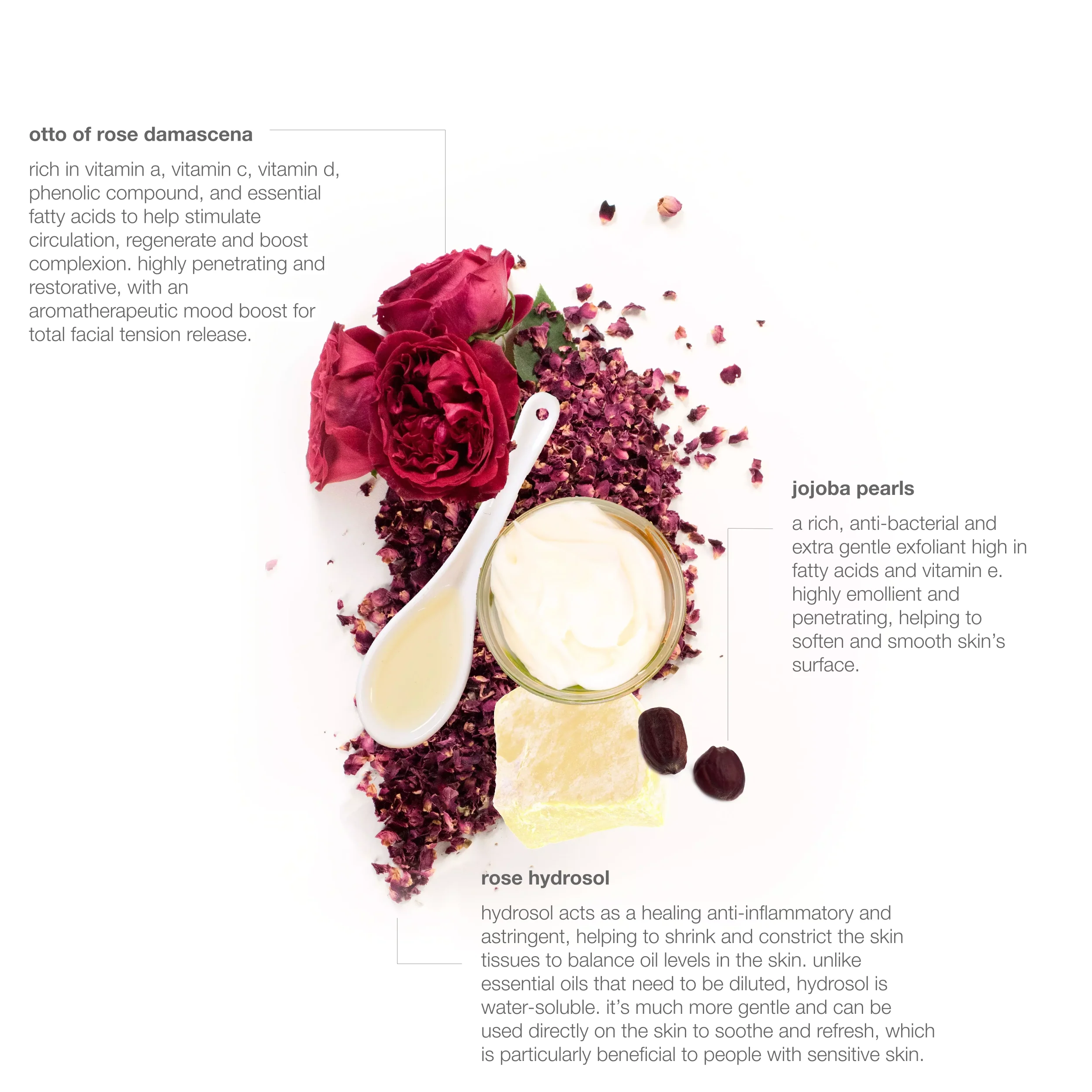 brightening rosewater facial polish - Image 3