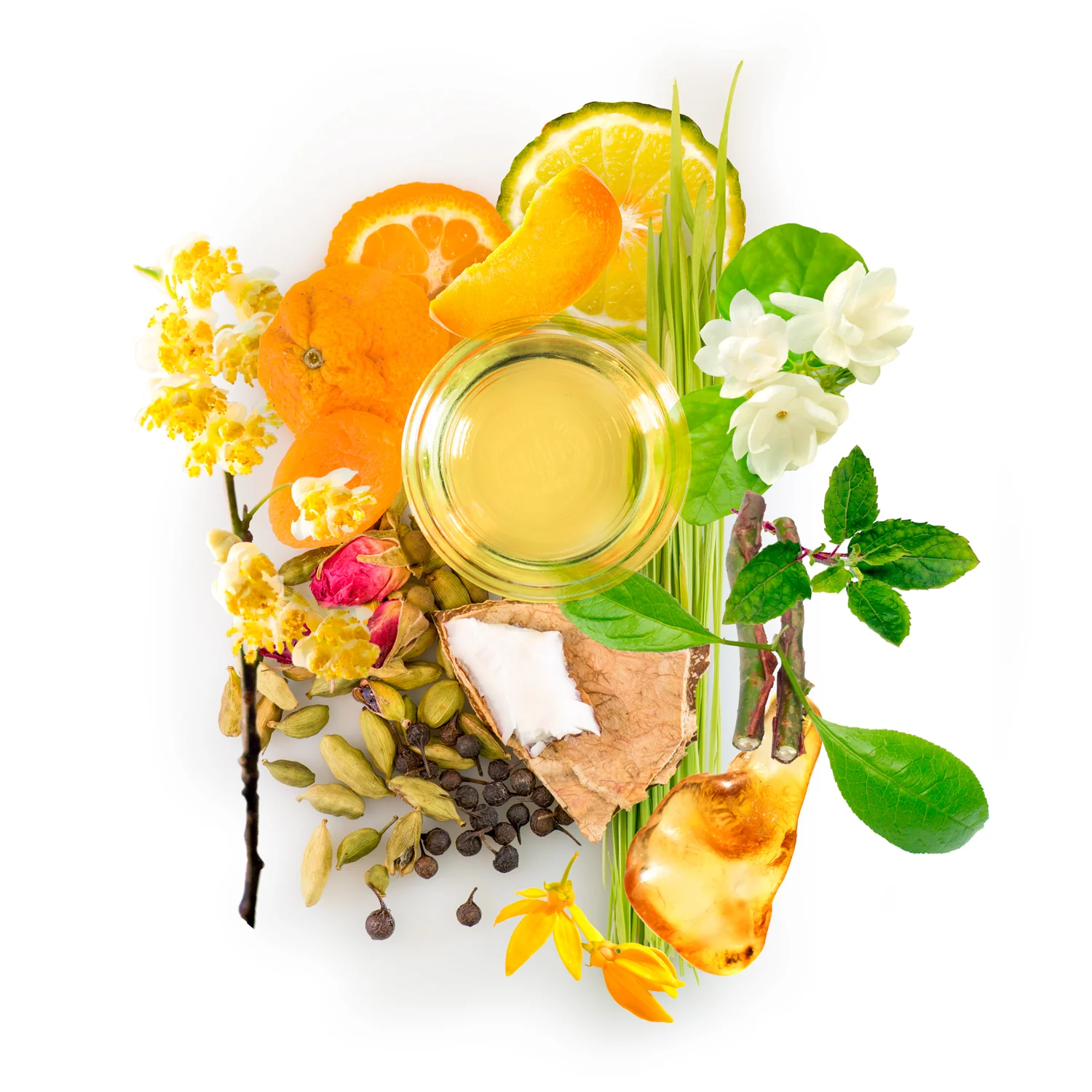 cardamom amber oil - Image 3