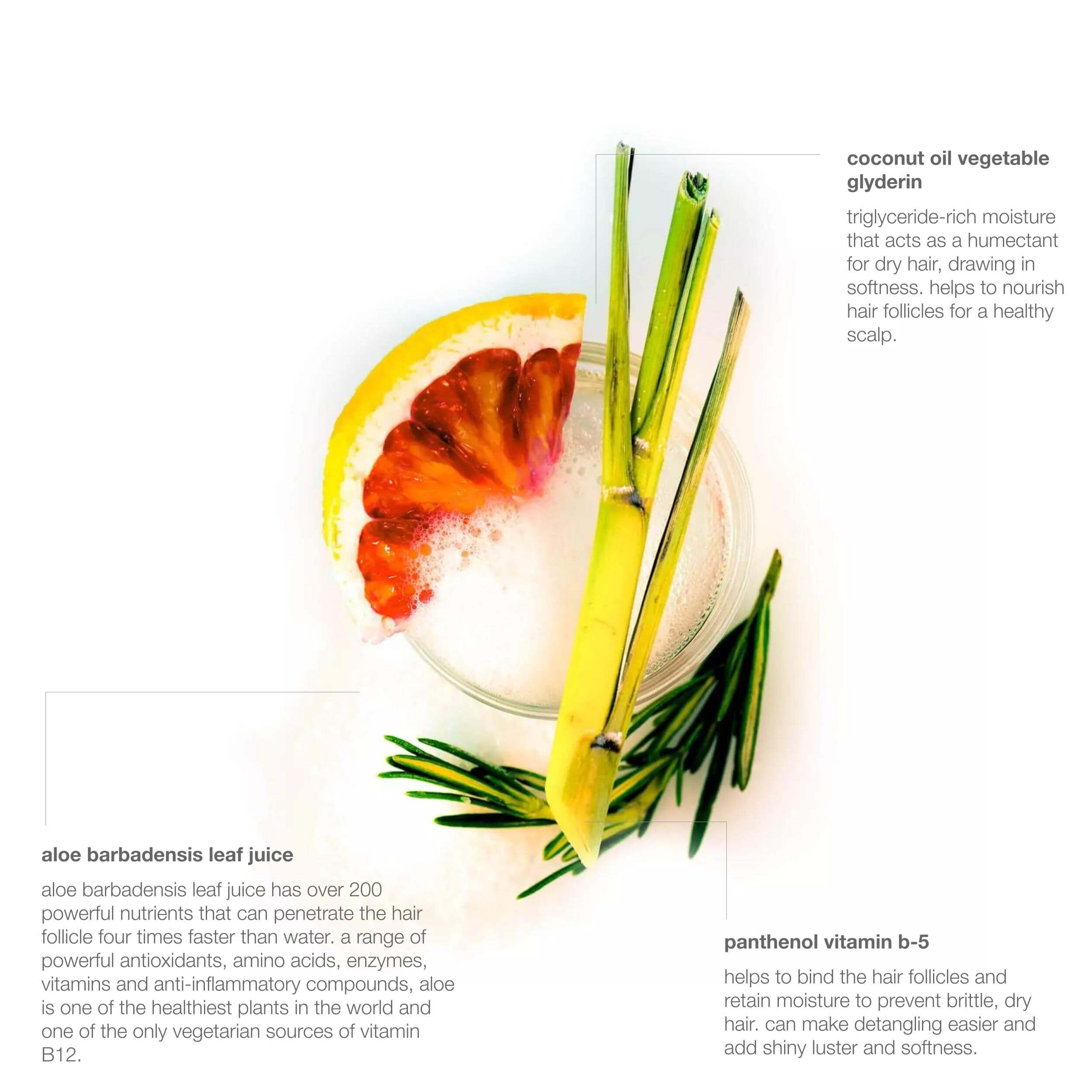italian blood orange hydrating hair wash - Image 10