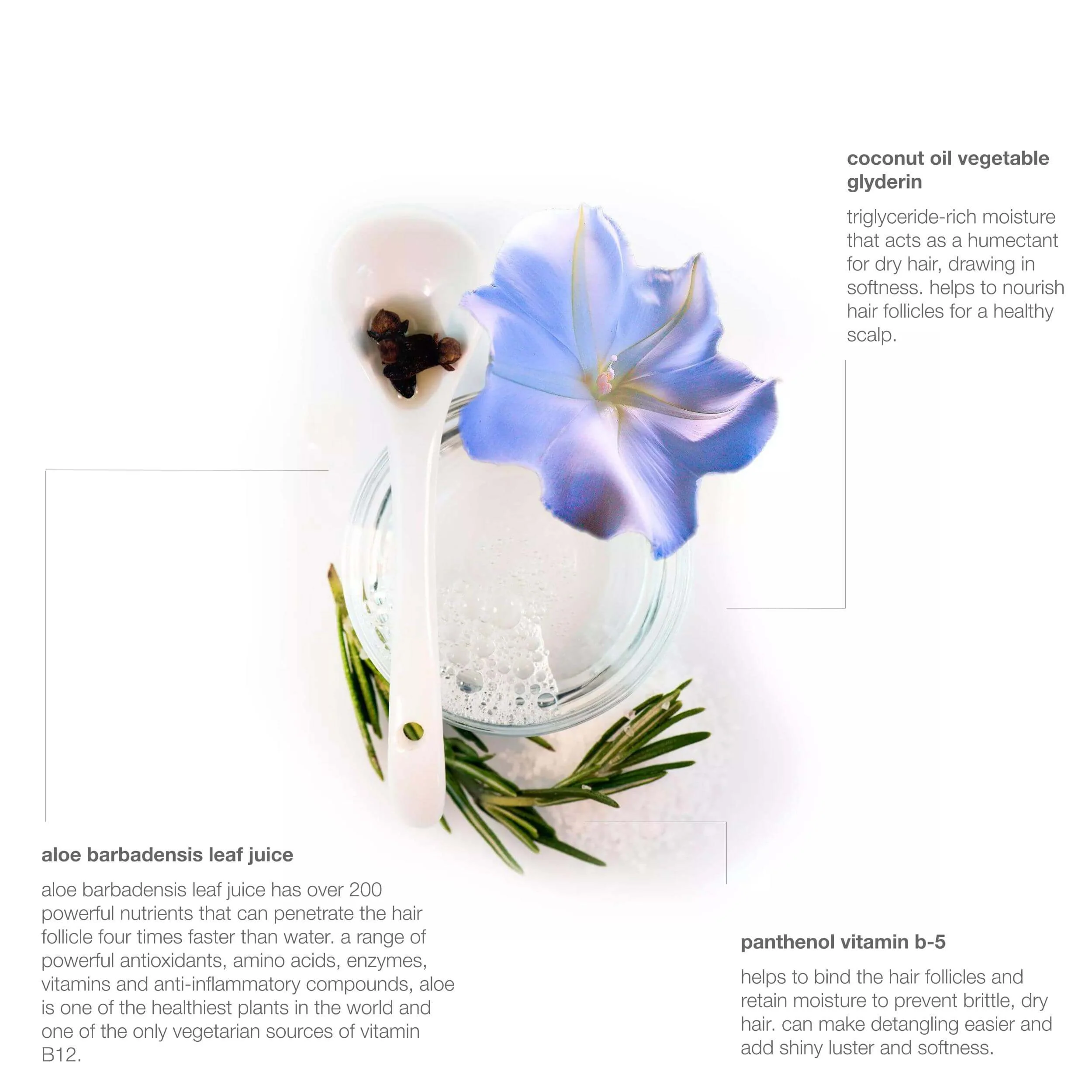 moonflower hydrating hair wash - Image 9