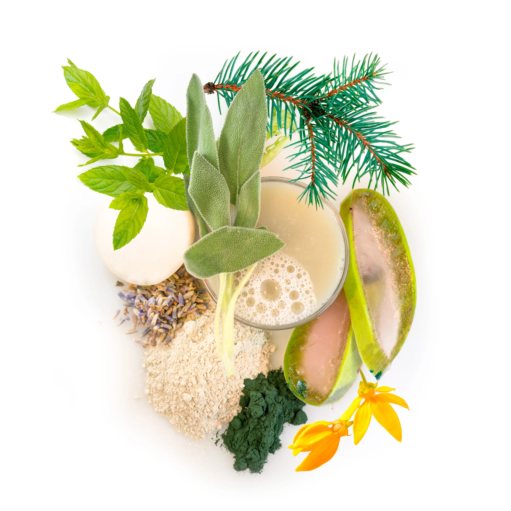 moroccan mint tea silt purifier - Image 3