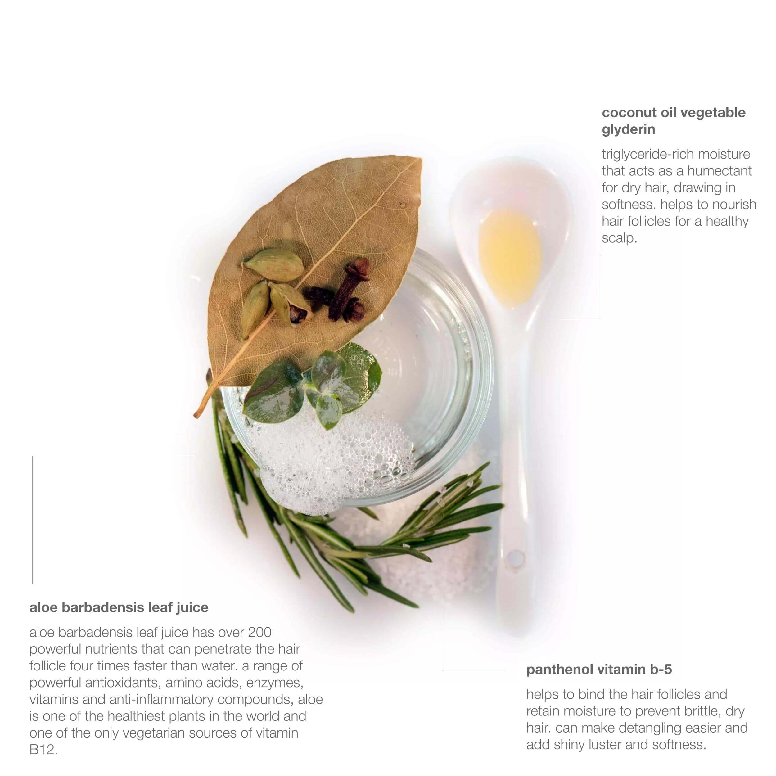 ocean hydrating hair wash - Image 10