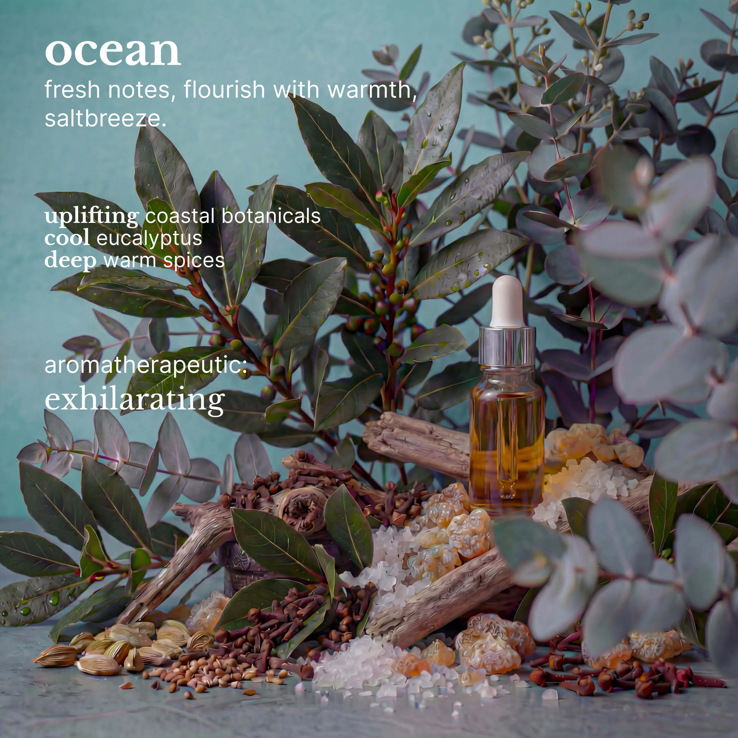ocean hydrating hair wash - Image 5