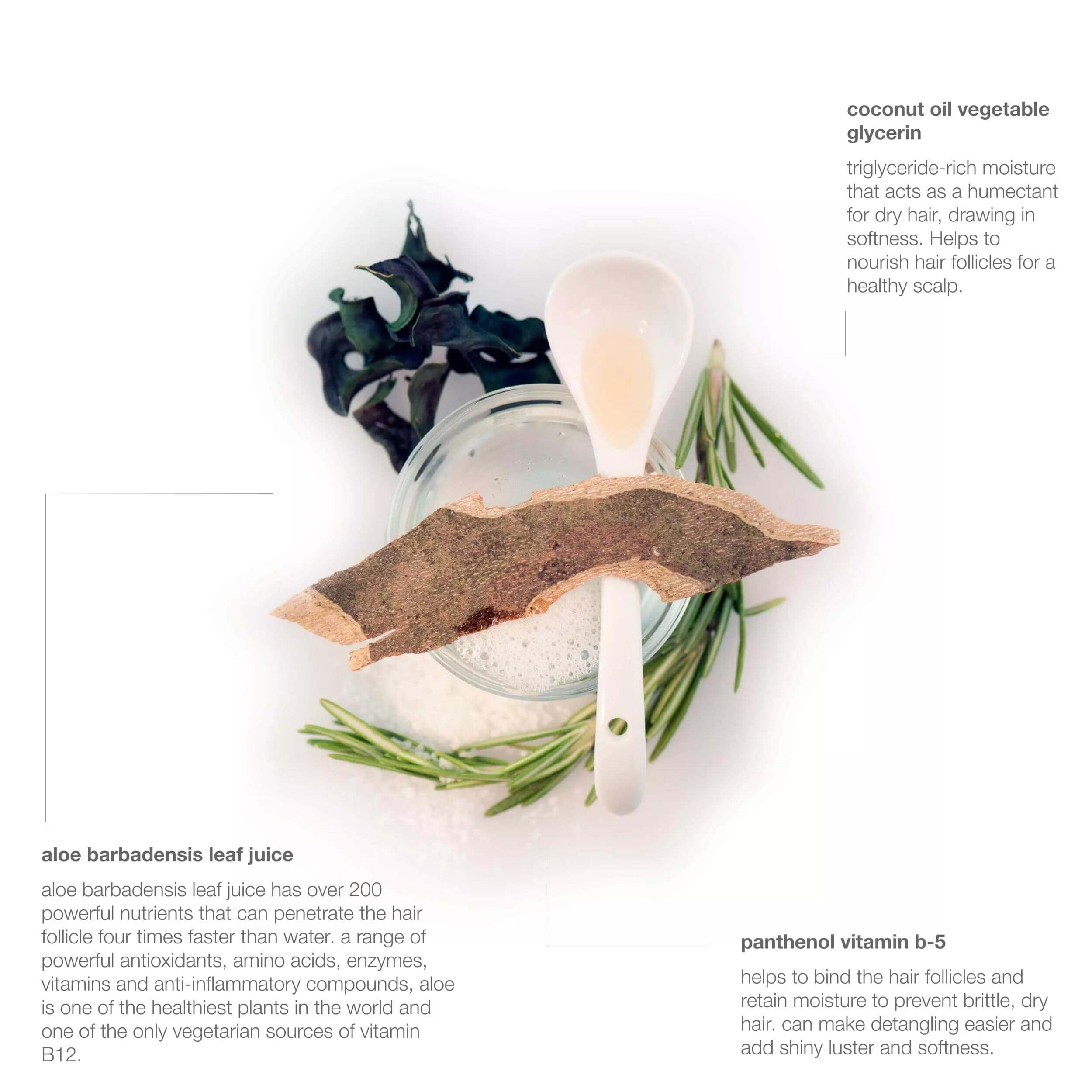 palo santo hydrating hair wash - Image 10