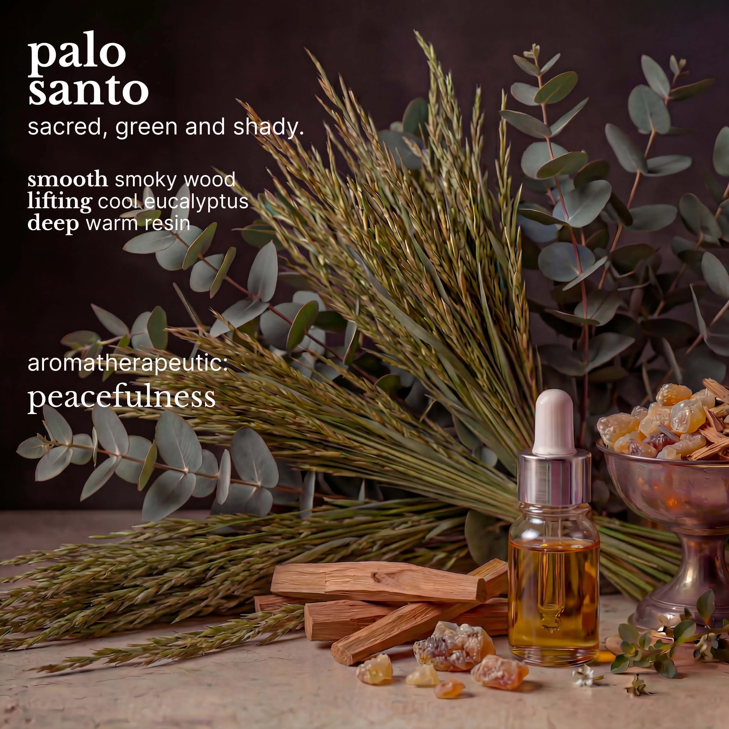 palo santo softening lotion - Image 5