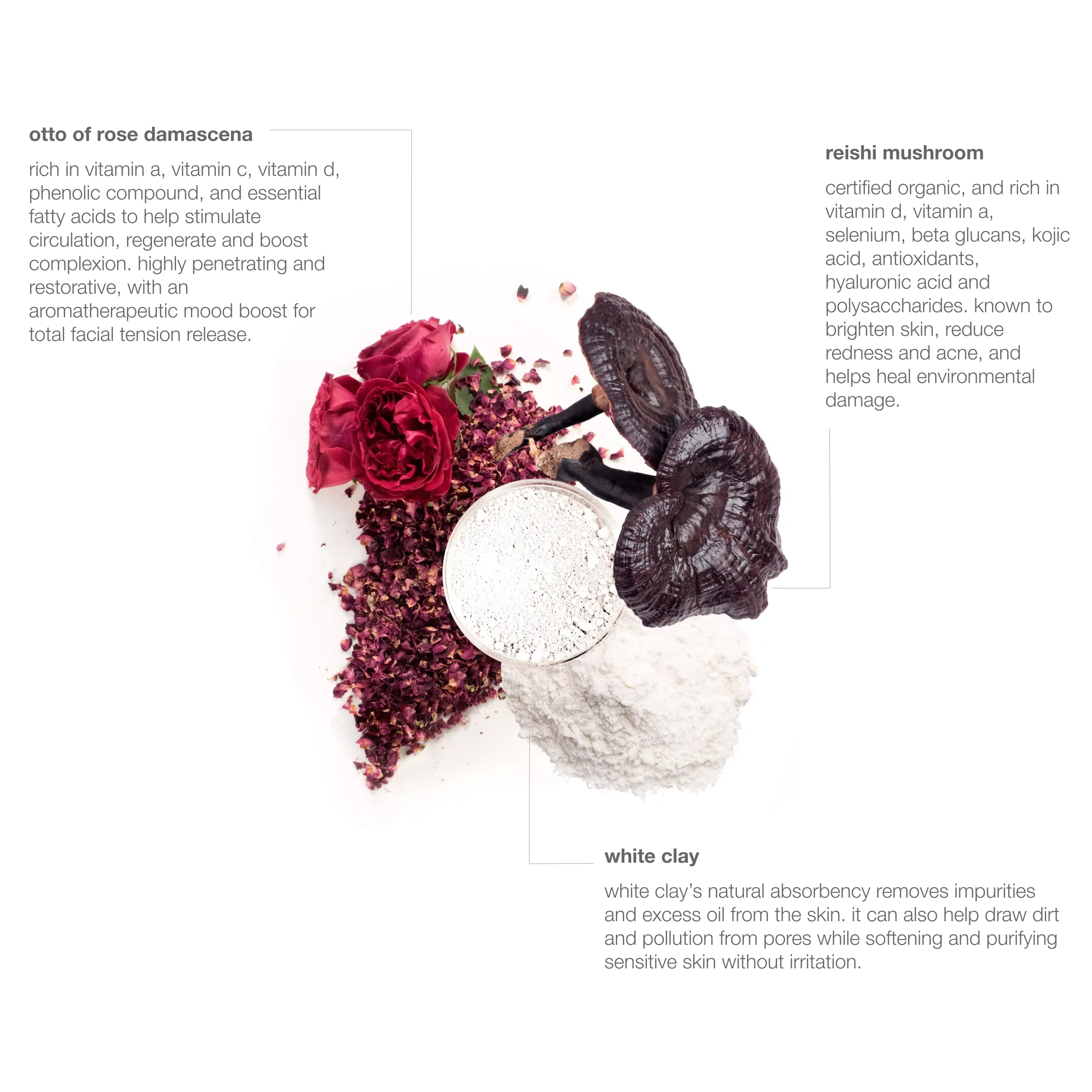 revolutionary powder facial masque - Image 3