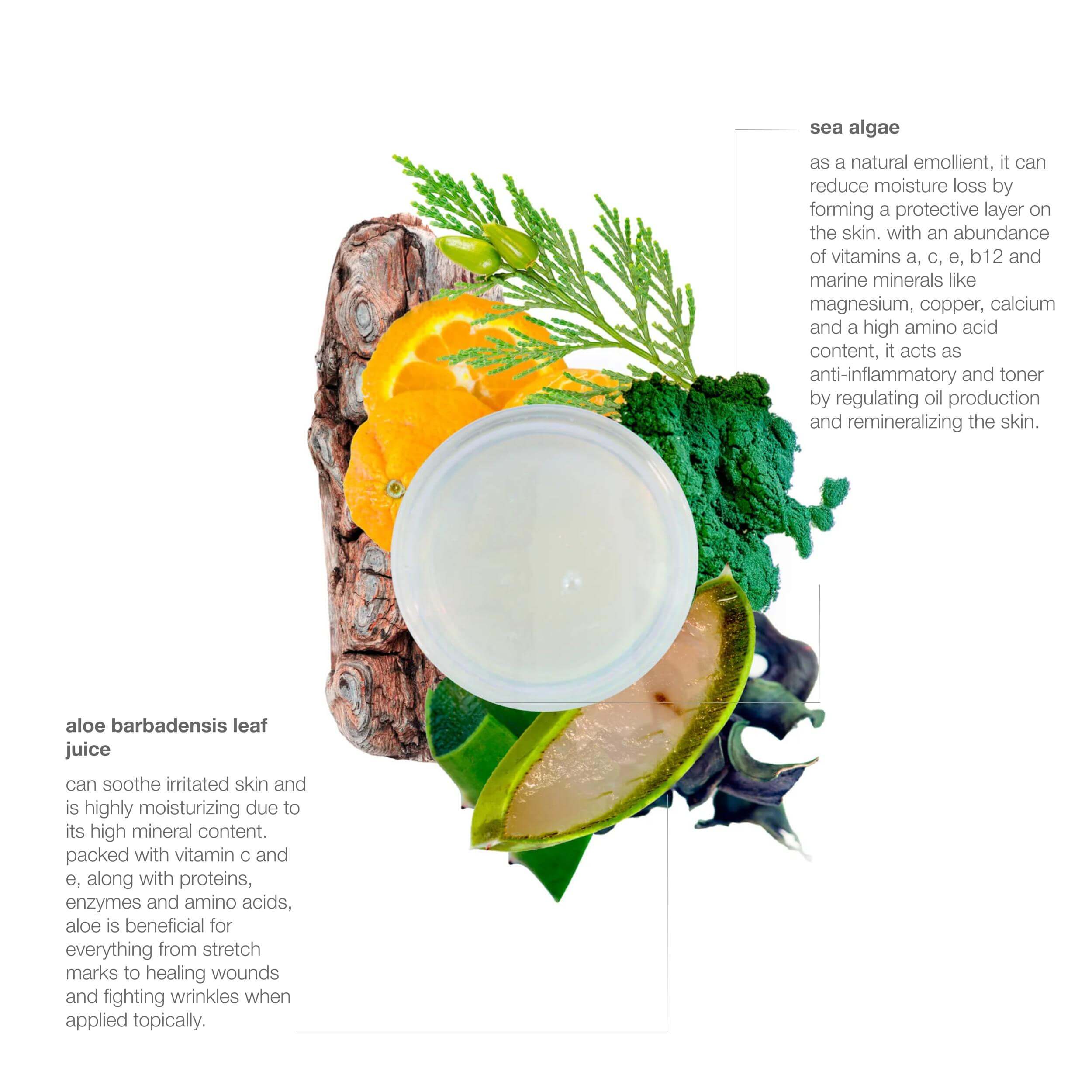 wanderlust cleansing hand wash - Image 10